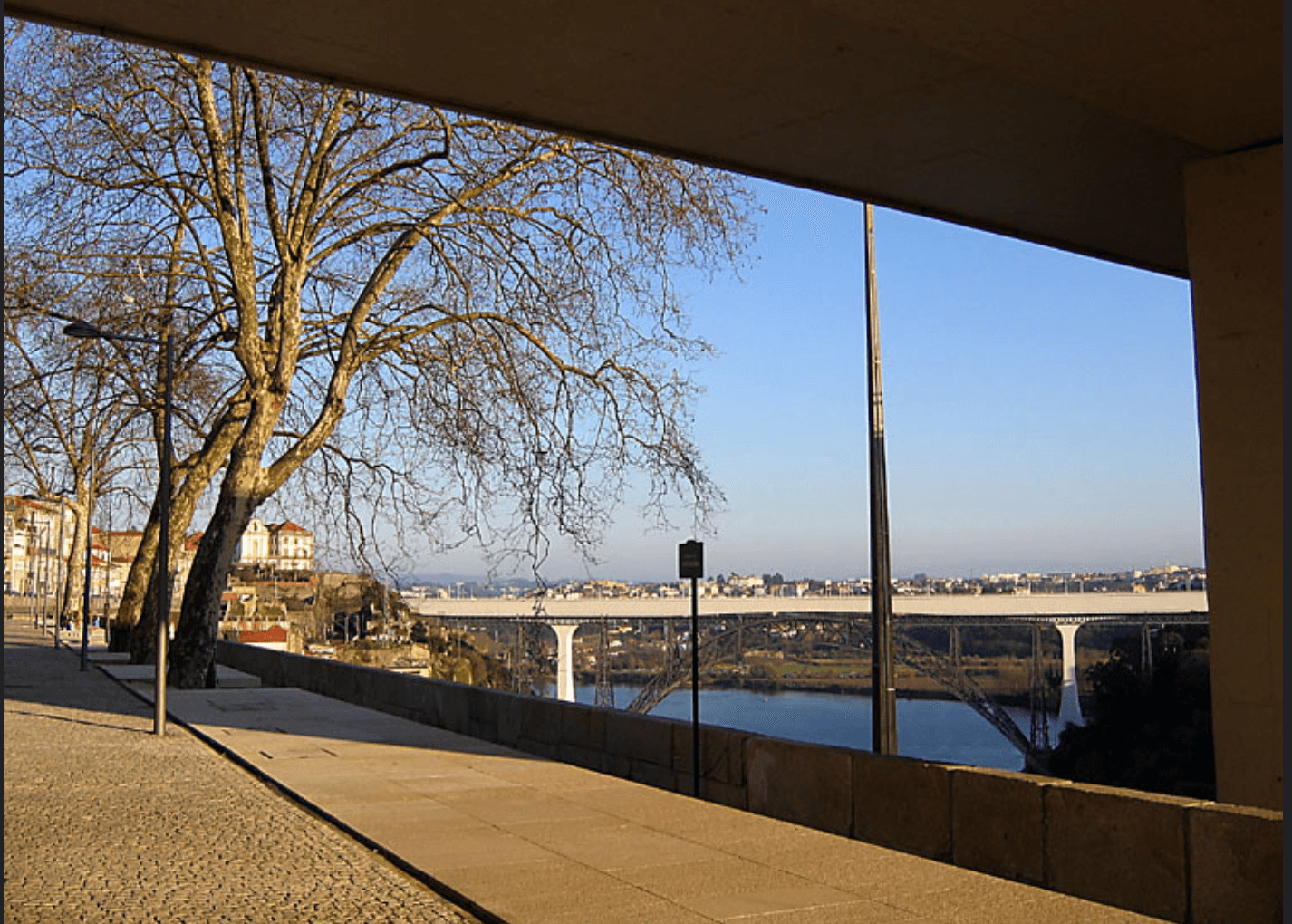 Terraced hills and river views along the Douro